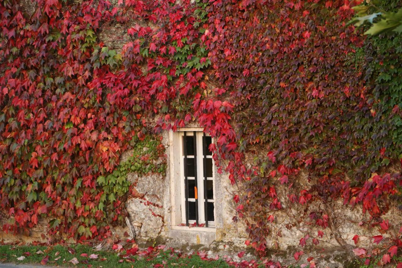 Villa Chemin de Gargamelle Gite 'Mirabelle' Ligueux  Exterior foto